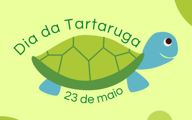 dia_da_tartaruga